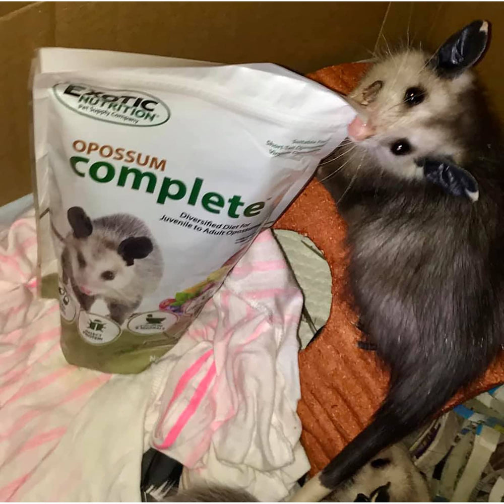 Exotic Nutrition Opossum Complete growth support, balanced minerals for proper development.