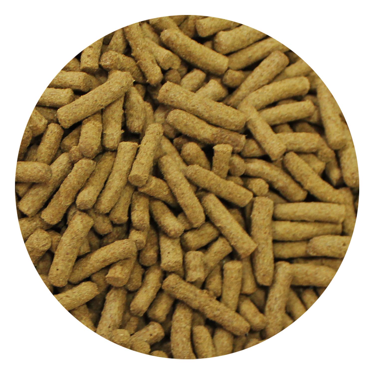 Exotic Nutrition chicken-protein formula supports muscle health in insectivores.