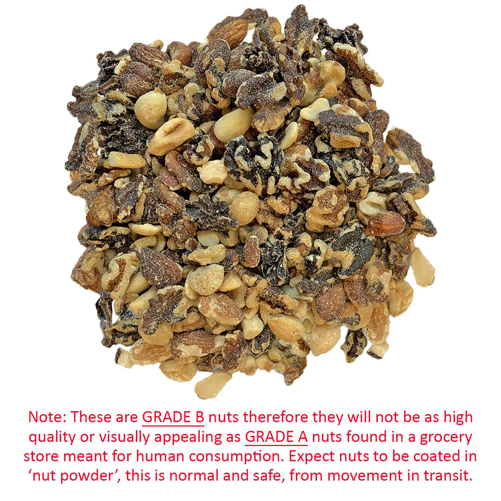 Exotic Nutrition Premium Nut Mix close-up of walnuts, hazelnuts, almonds for variety