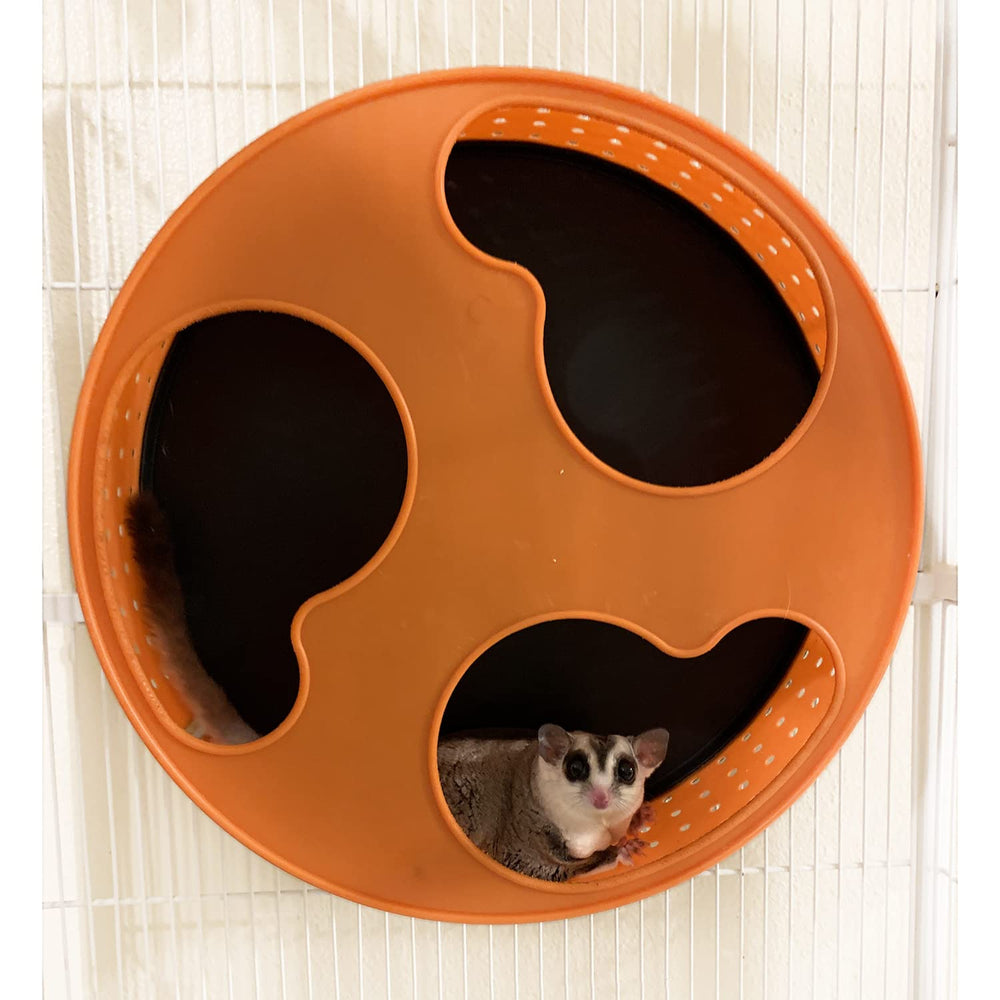 Exotic Nutrition Silent Runner 12 wheel durable plastic construction for long lasting use