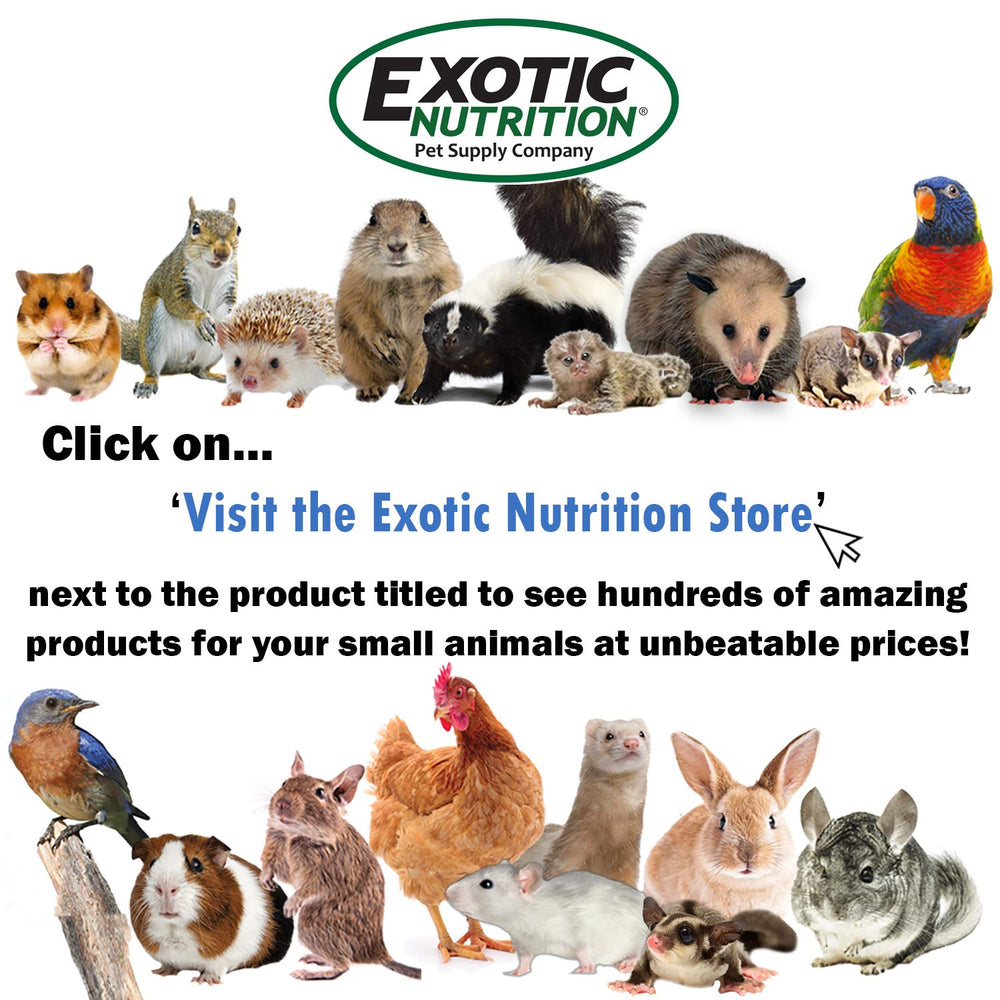 Exotic Nutrition Silent Runner 12 wheel easy to clean design for quick maintenance