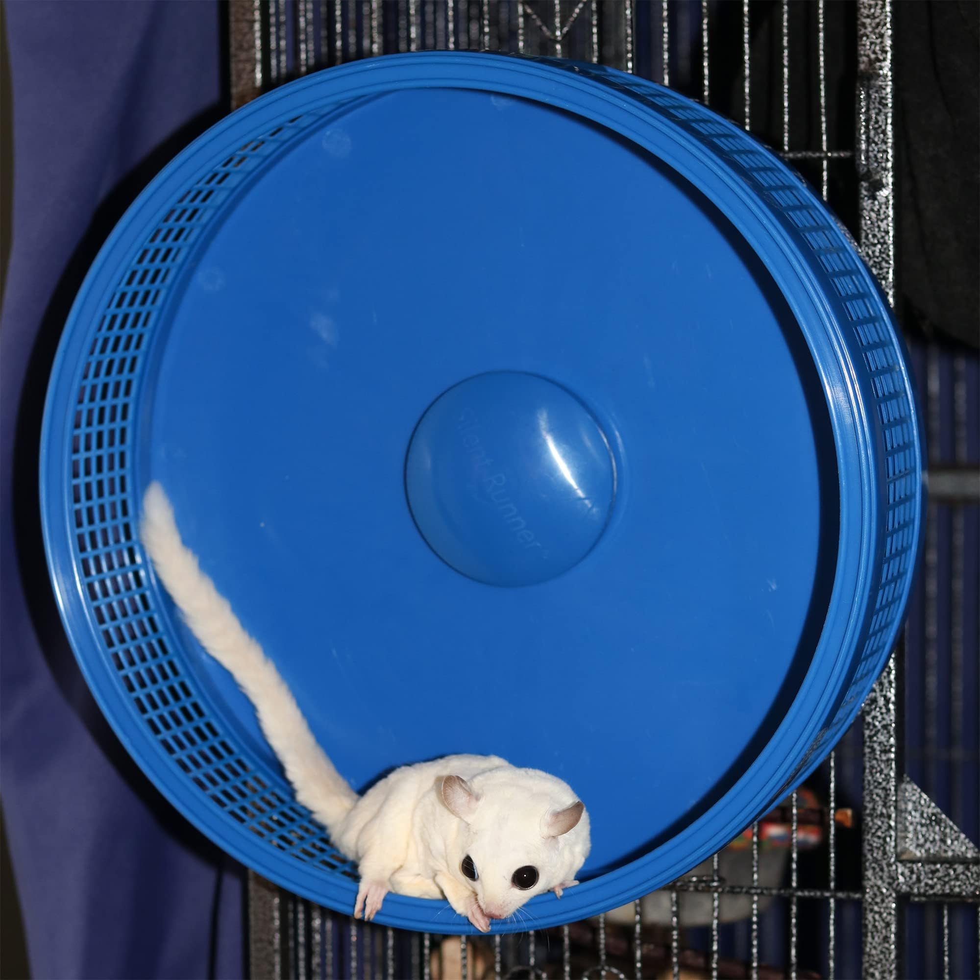 Exotic Nutrition Silent Runner Pro front plate demonstrates safe entry design.