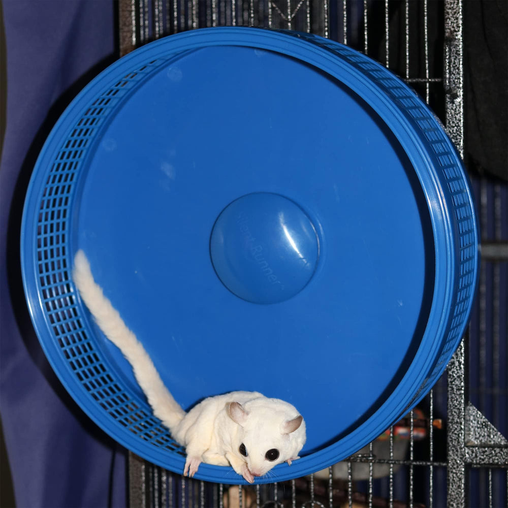 Exotic Nutrition Silent Runner Pro front plate demonstrates safe entry design.