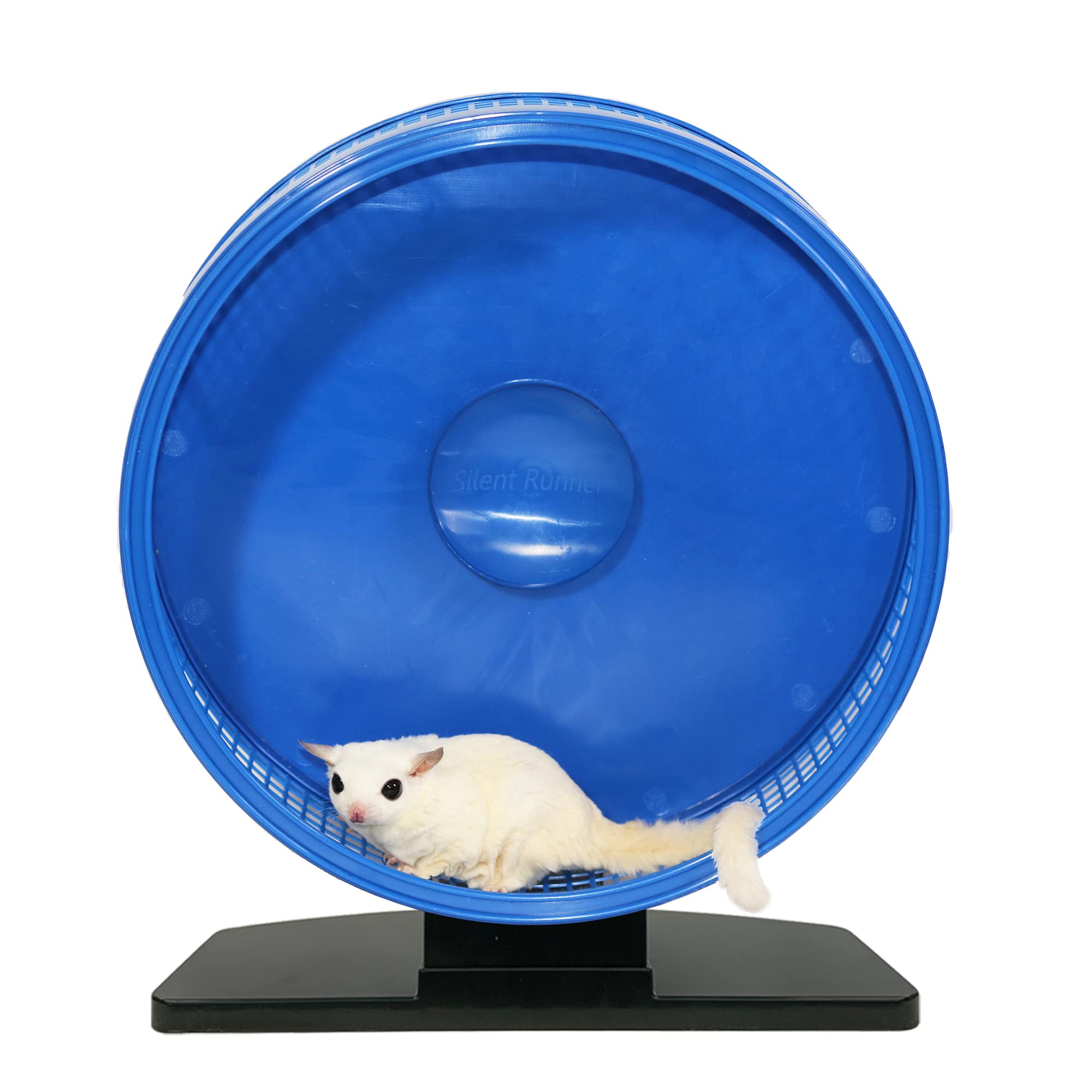 Exotic Nutrition Silent Runner Pro wheel with sugar glider demonstrating enrichment.