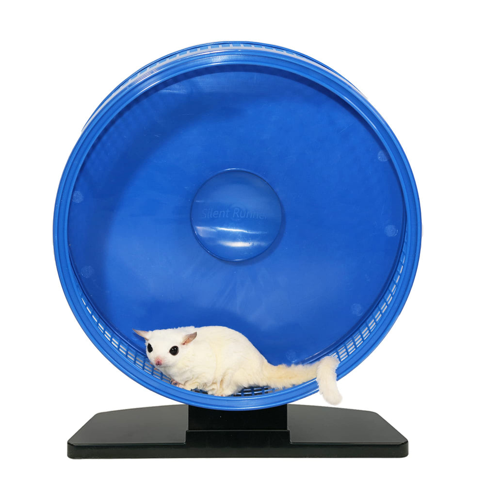 Exotic Nutrition Silent Runner Pro wheel with sugar glider demonstrating enrichment.