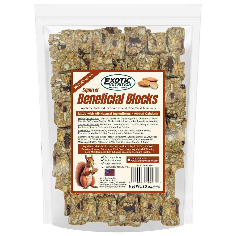 Exotic Nutrition Squirrel Beneficial Blocks almonds and seeds close-up highlighting protein