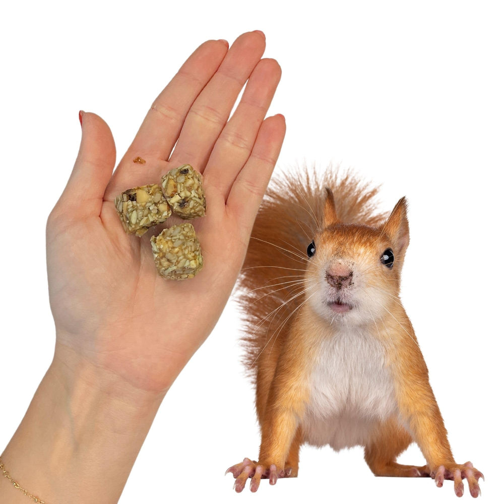 Exotic Nutrition Squirrel Beneficial Blocks foraging setup encourages natural foraging