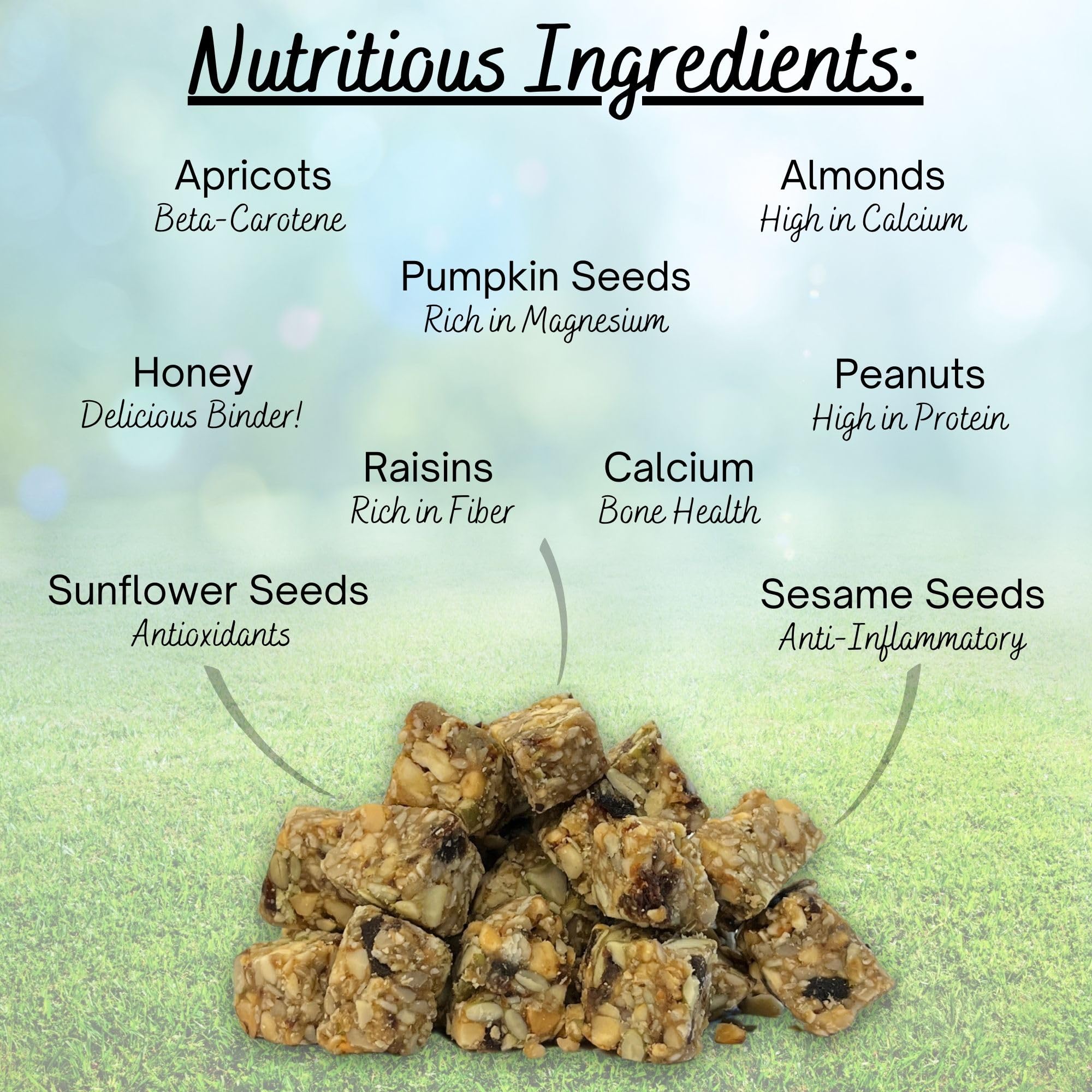 Exotic Nutrition Squirrel Beneficial Blocks foraging stimulation