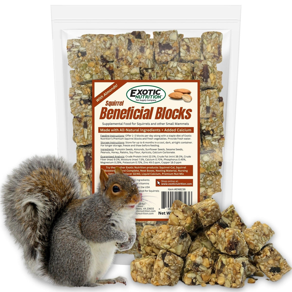 Exotic Nutrition Squirrel Beneficial Blocks ingredients close-up for nutritious snacking