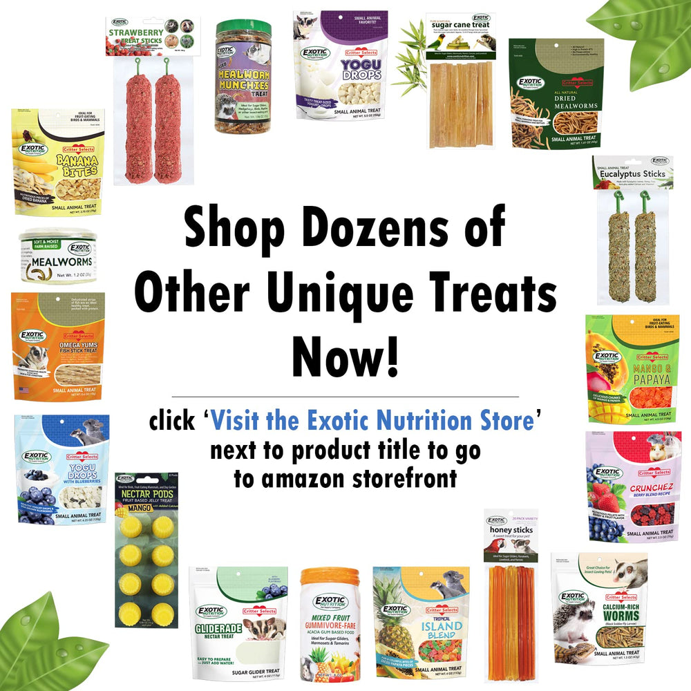 Exotic Nutrition Squirrel Beneficial Blocks snack time moment