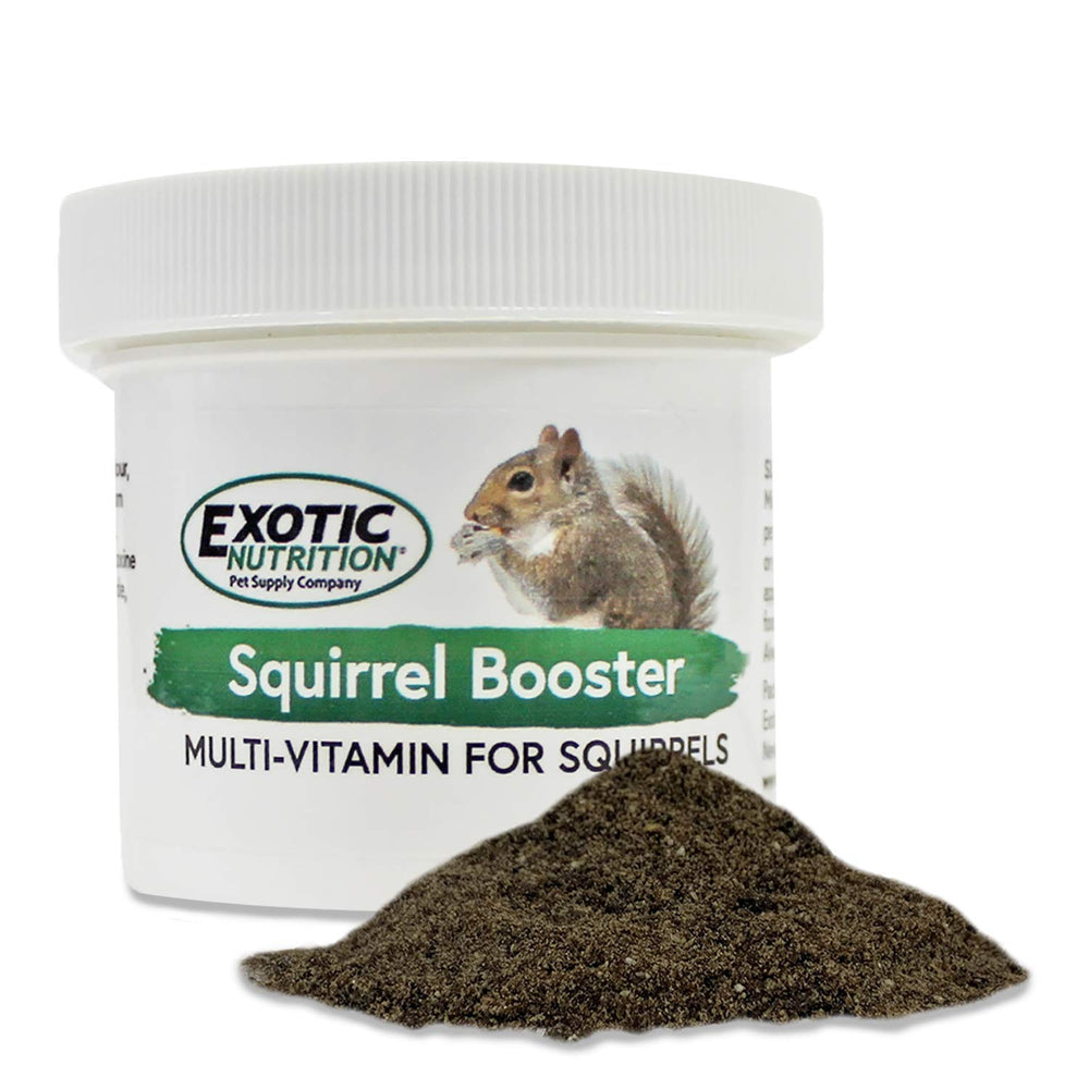 Exotic Nutrition Squirrel Booster bottle showing daily vitamin support for pet squirrels.