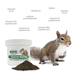 Exotic Nutrition Squirrel Booster packaging ready for convenient daily use.