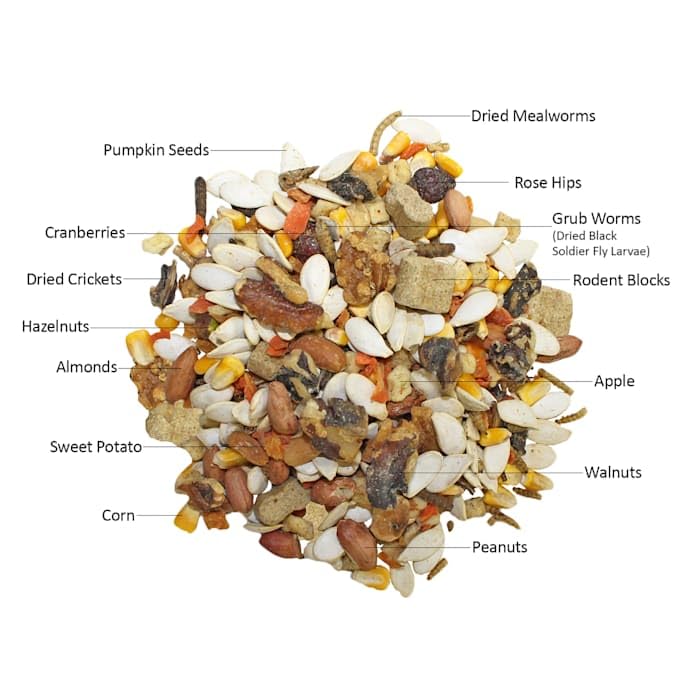 Exotic Nutrition Squirrel Complete nuts provide chewing exercise for dental health