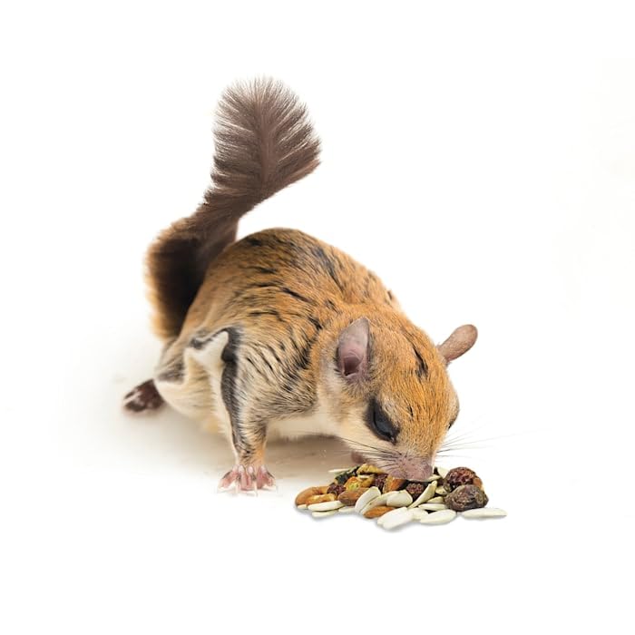Exotic Nutrition Squirrel Complete storage bag ready for refrigeration to preserve freshness
