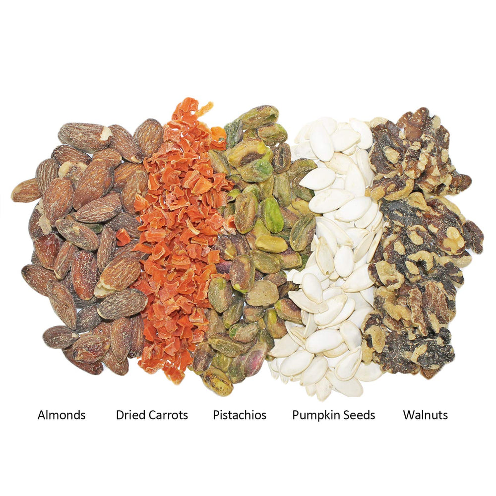 Exotic Nutrition Starter Pack Squirrel Treat — tasty enrichment to encourage exploration.