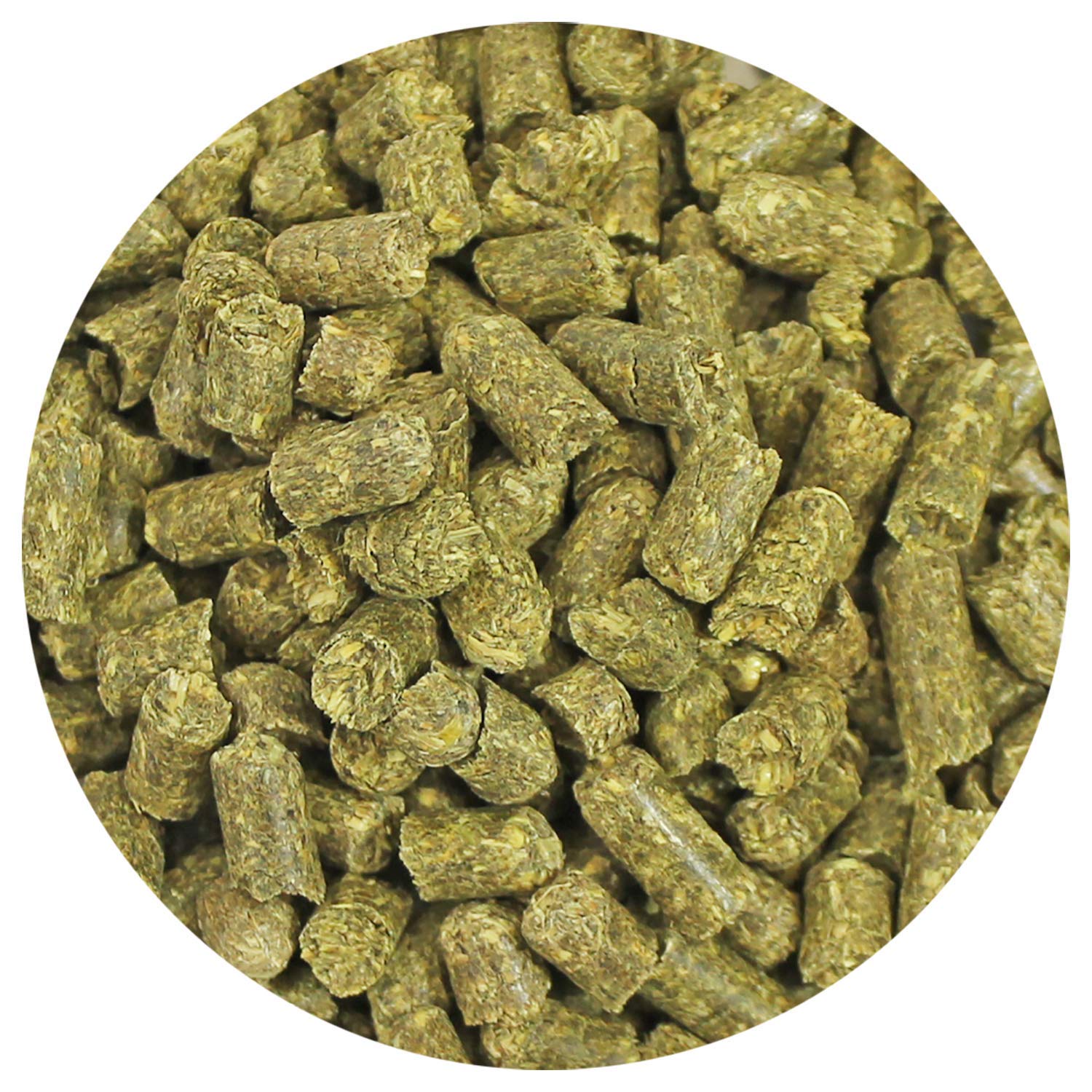 Exotic Nutrition Timothy Pellets serving bowl; convenient daily feeding for small herbivores.