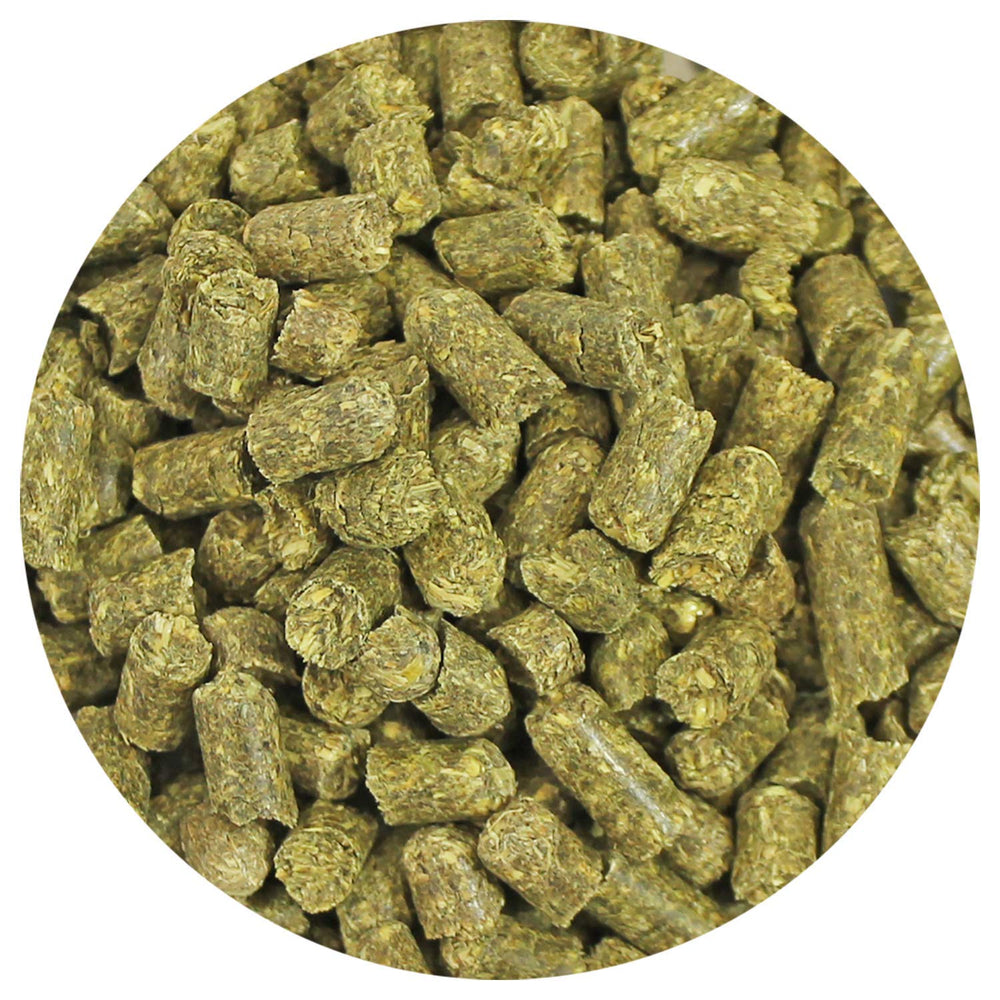 Exotic Nutrition Timothy Pellets serving bowl; convenient daily feeding for small herbivores.