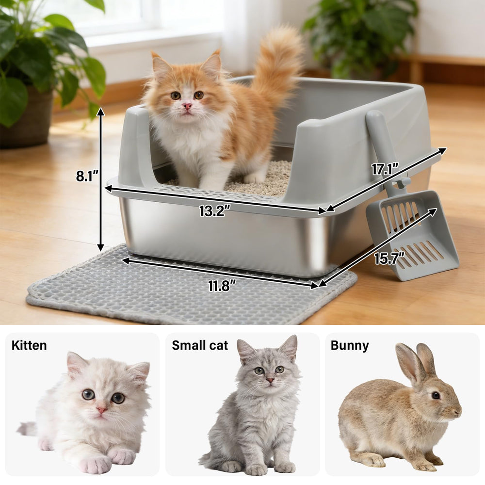 Exovyn open-top low-entry box provides easy access for small cats.