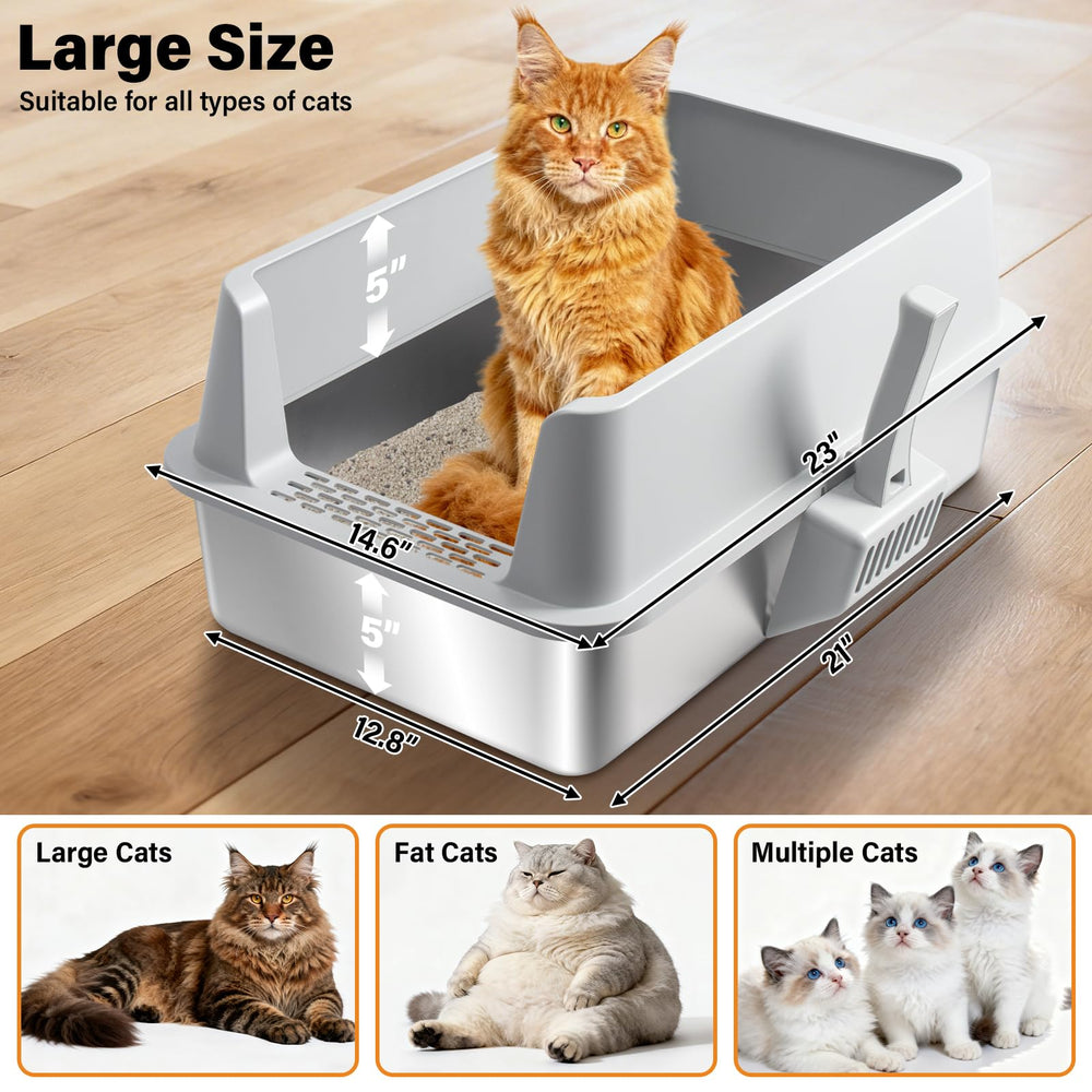 Exovyn XL interior offers spacious room for large cats and multi-cat homes.