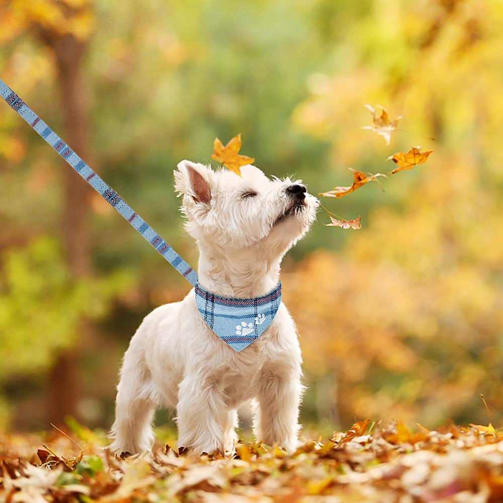 EXPAWLORER rotatable-clasp-design prevents tangling during walks.