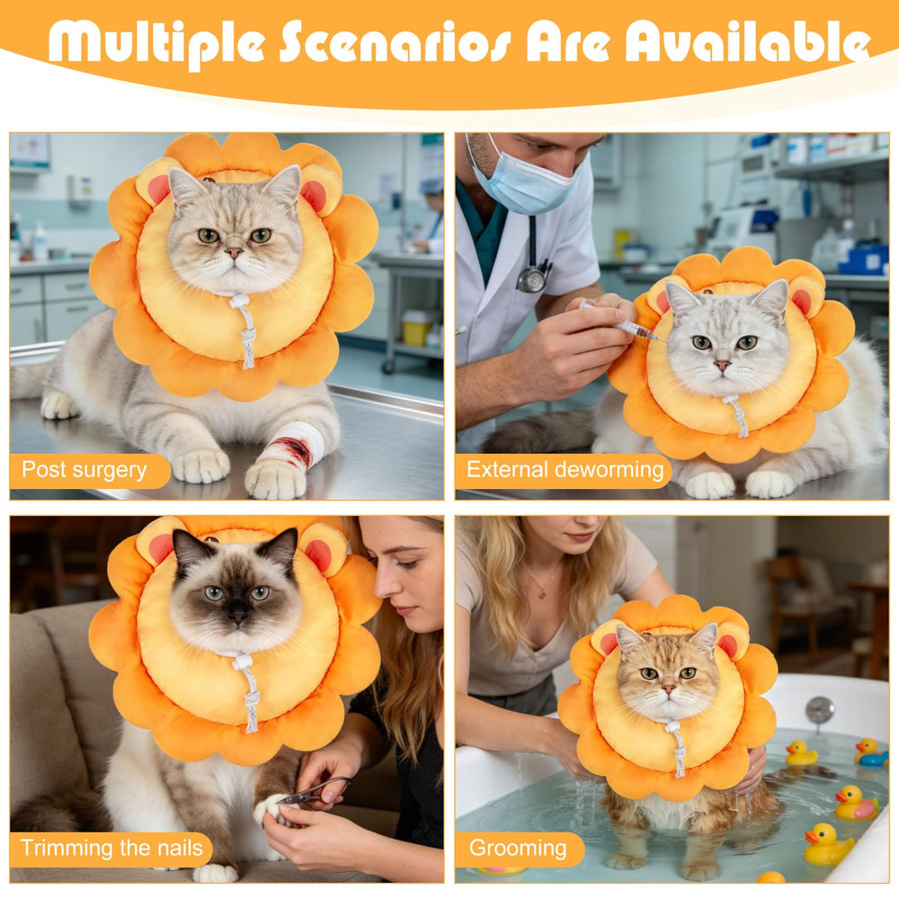 Two cute patterns add style while protecting wounds with EXPAWLORER collar.