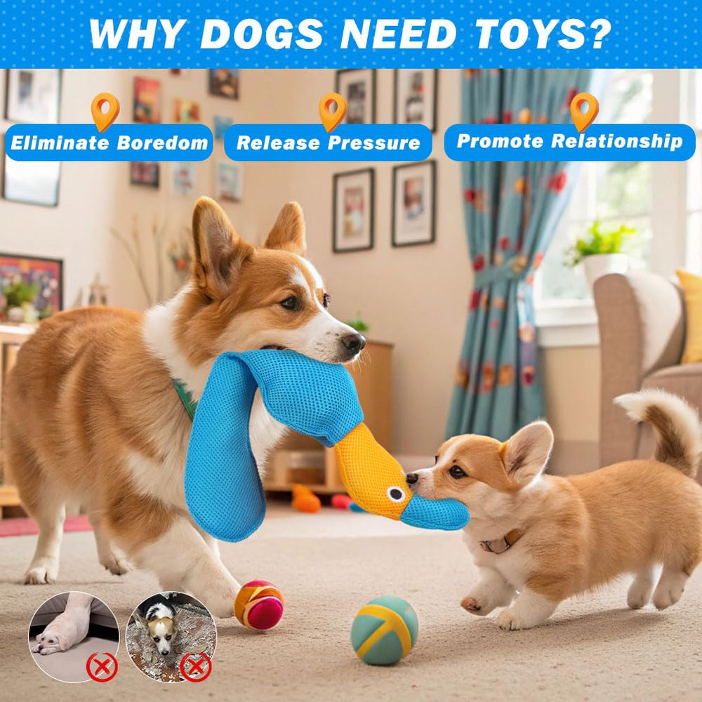 EXPAWLORER 20-5-inch duck design keeps dogs active and entertained