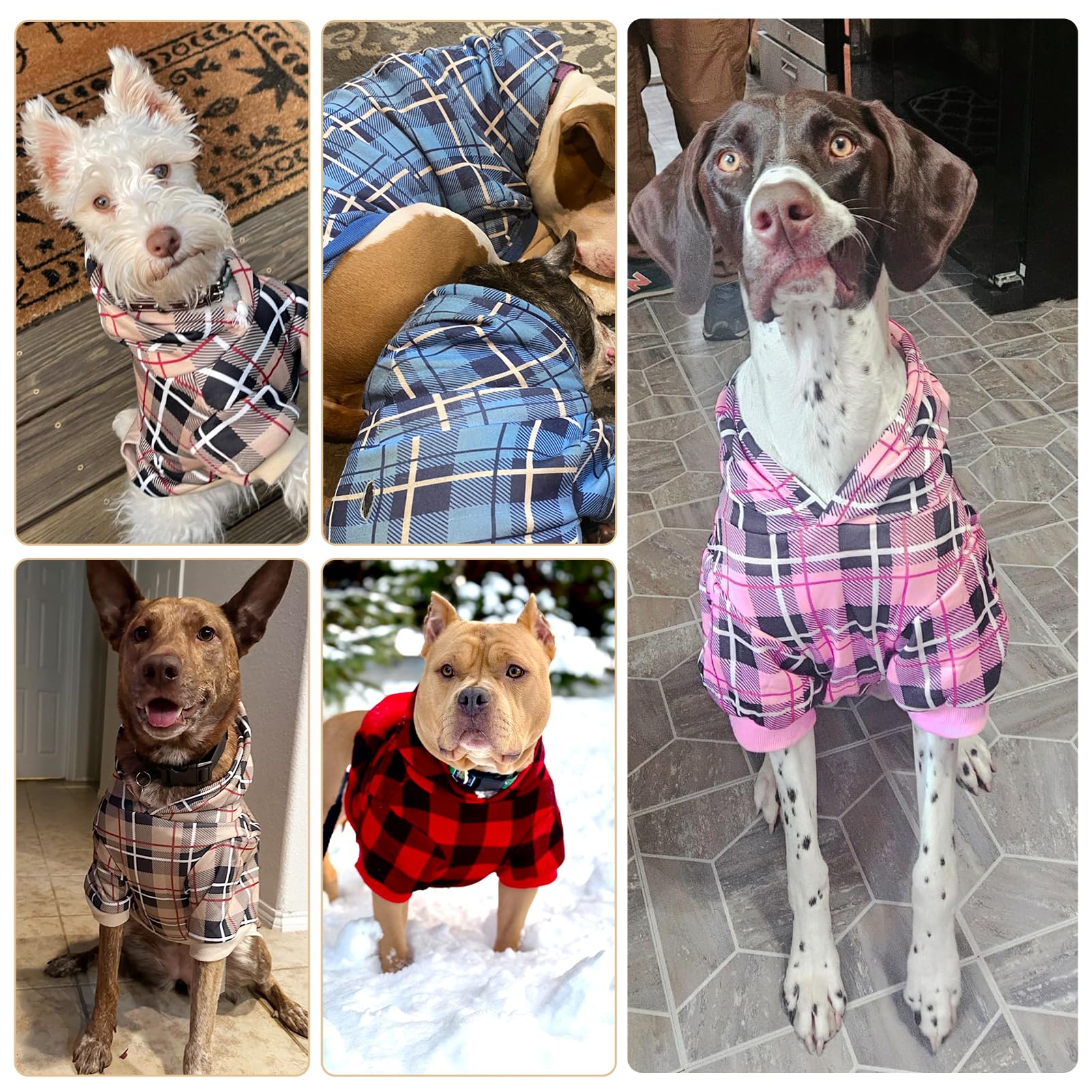 EXPAWLORER beige plaid hoodie ideal for both boys and girls