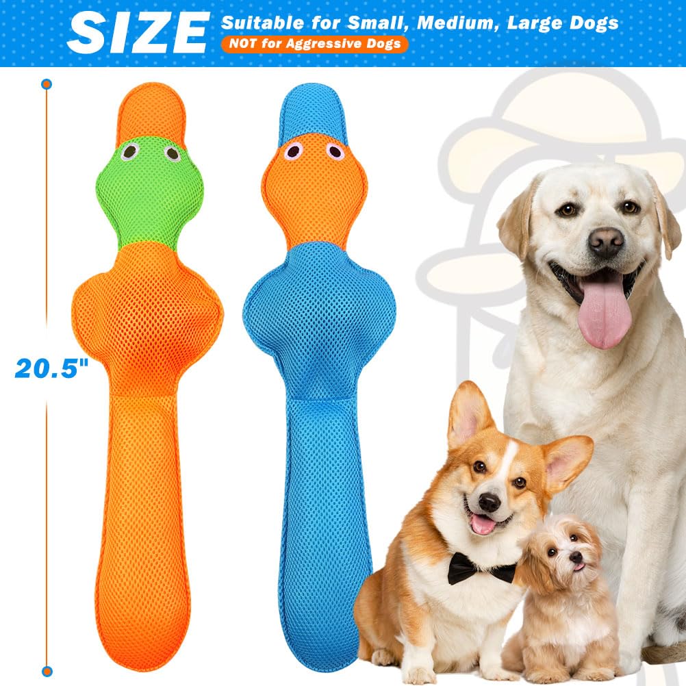 EXPAWLORER bright colors enhance water visibility for dog play