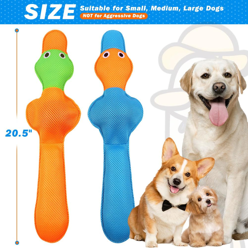 EXPAWLORER bright colors enhance water visibility for dog play