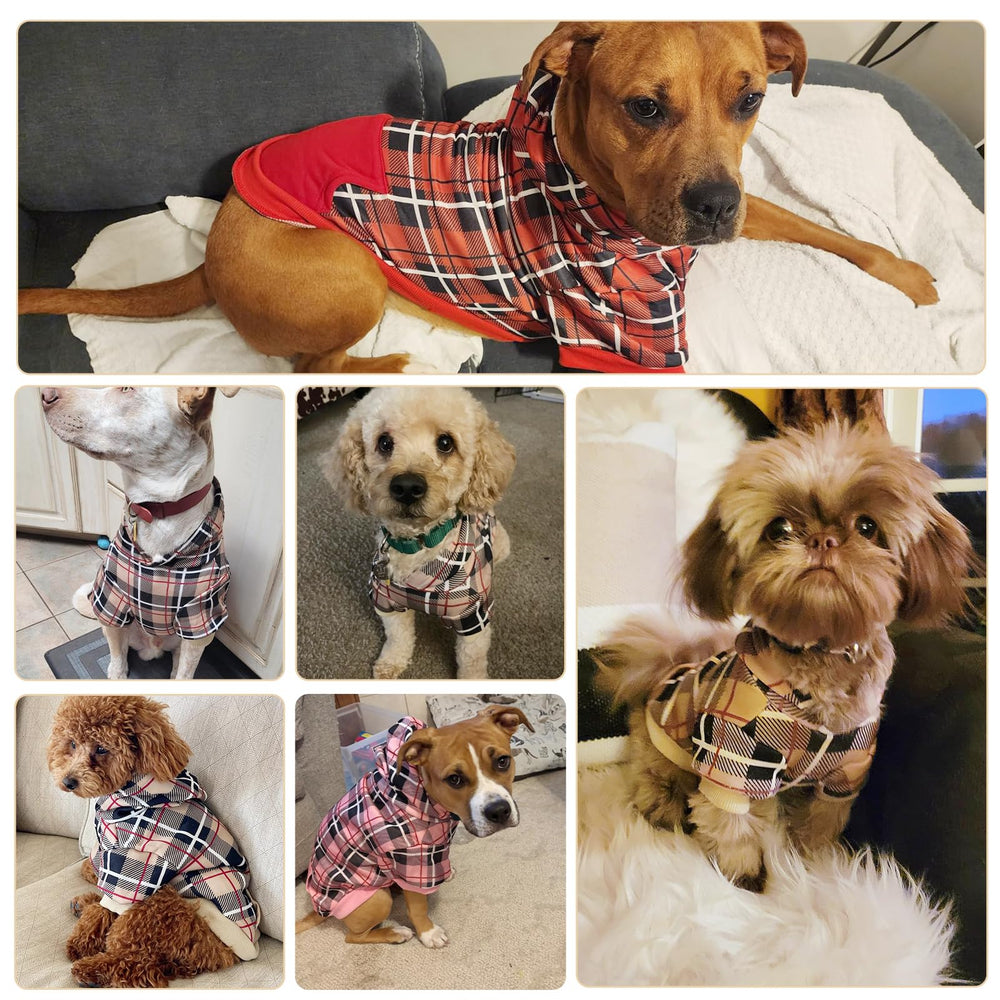 EXPAWLORER classic British style for formal or casual dog wear