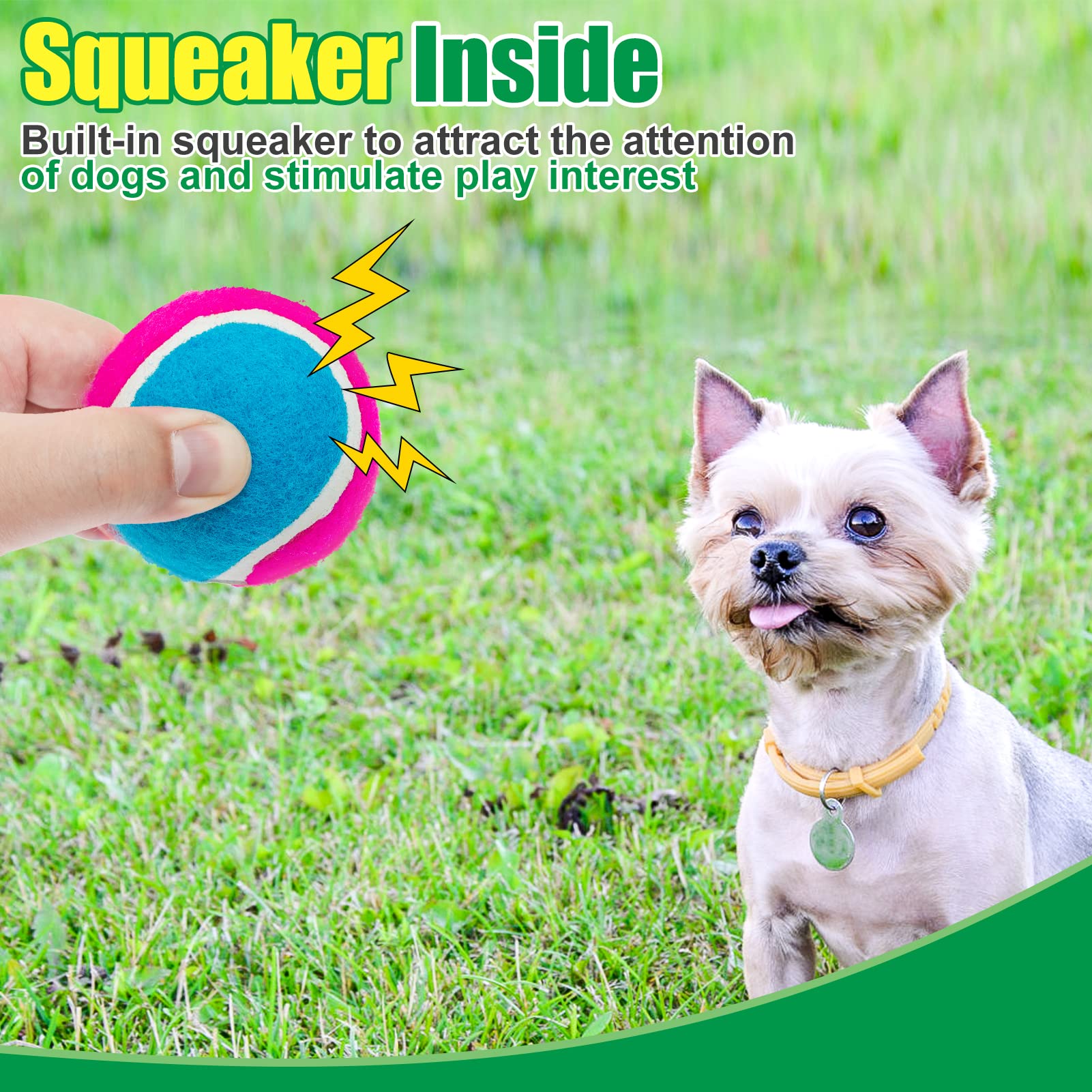 Expawlorer color block design helps dogs spot the ball outdoors.