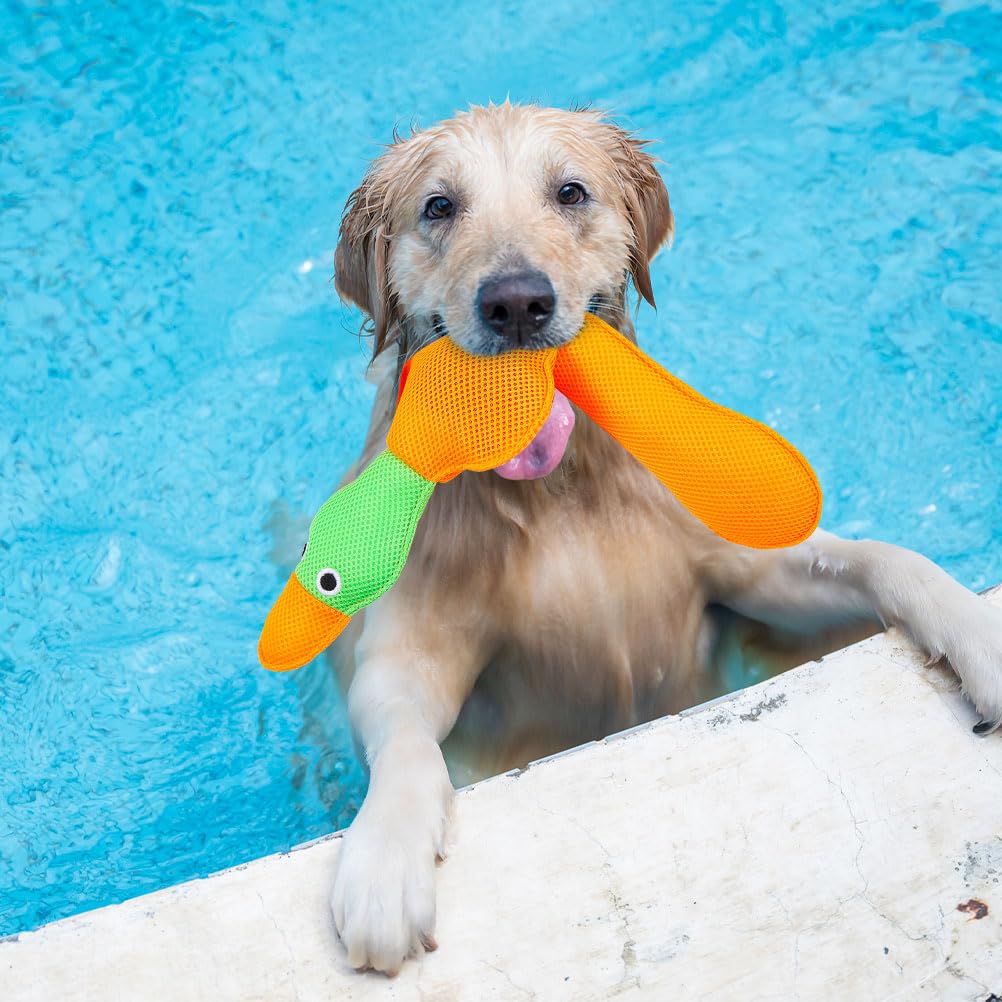 EXPAWLORER dog toy suits small to large breeds for year-round fun