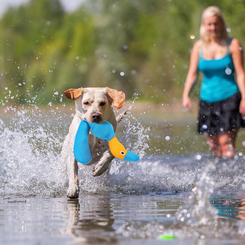 EXPAWLORER toy features safe materials for long-lasting pool enjoyment