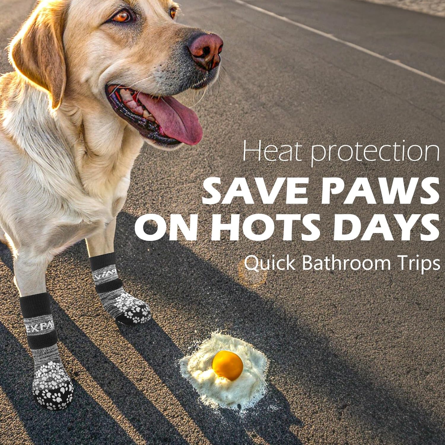 EXPAWLORER dual-sided paw grips visible, adding traction on smooth surfaces.