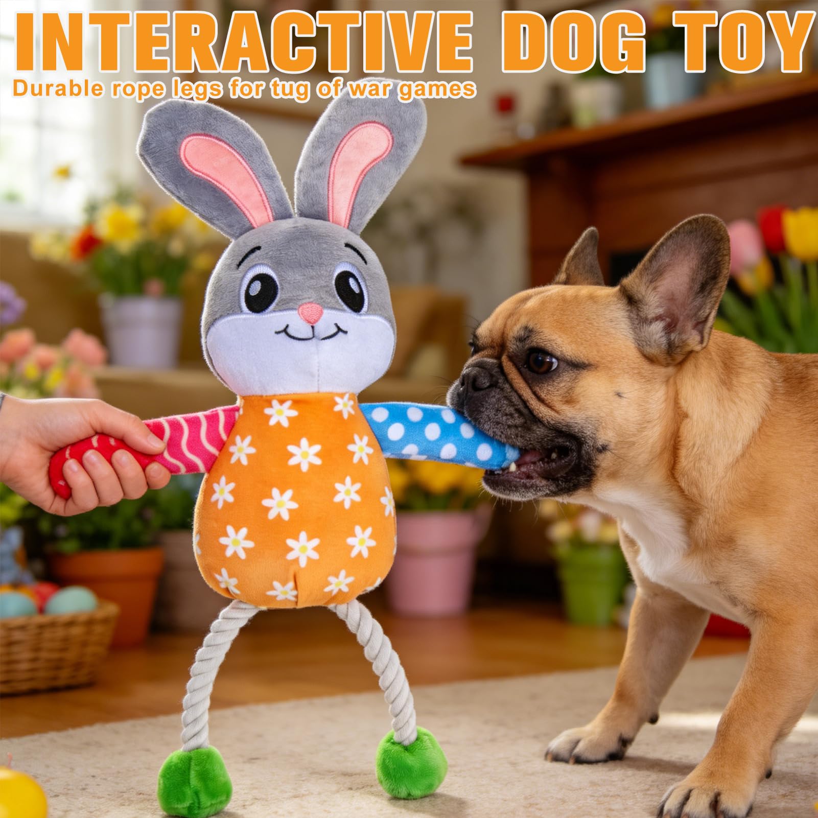 EXPAWLORER Easter gift for dogs, perfect for holidays and celebrations