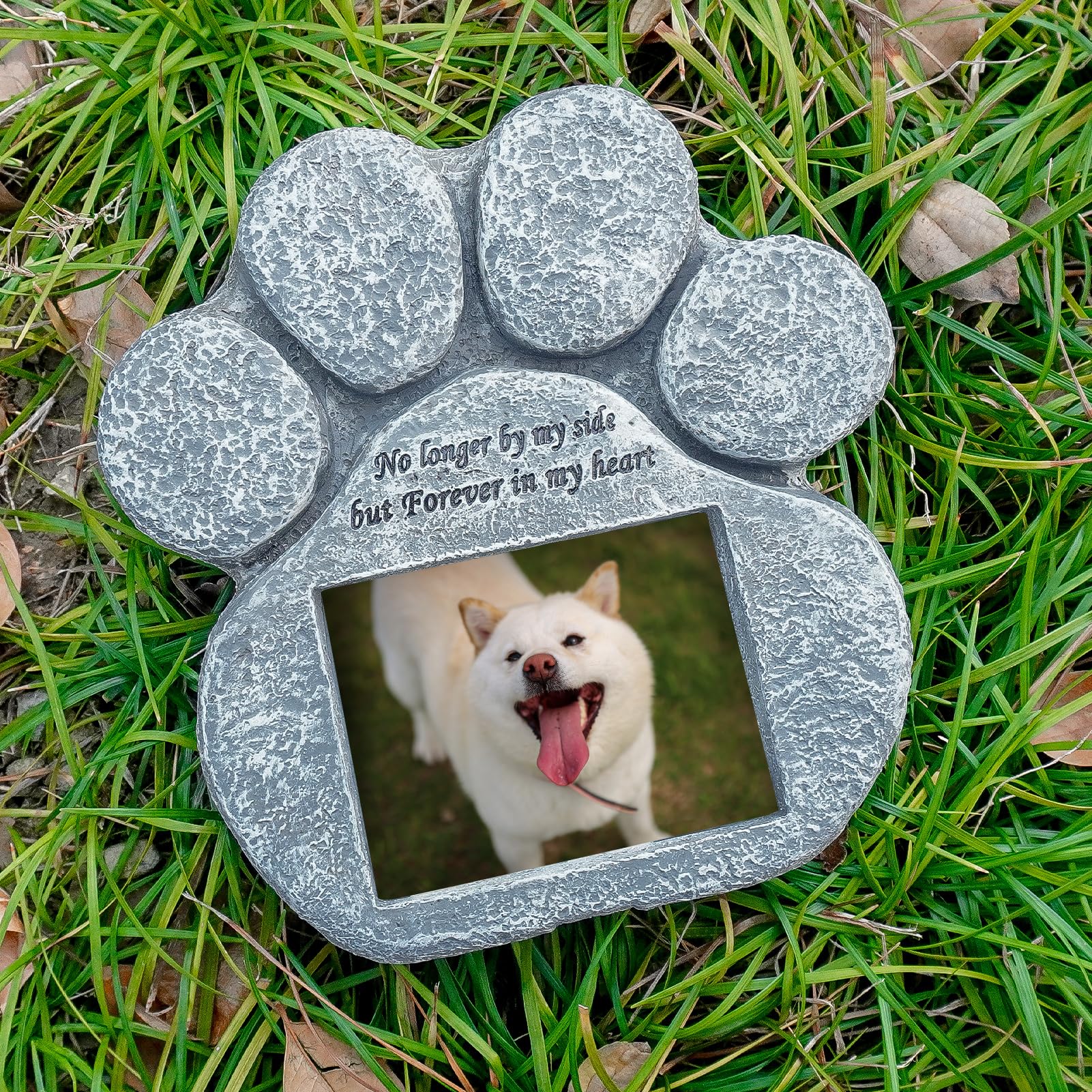 EXPAWLORER Lawn backyard memorial marker for pet remembrance