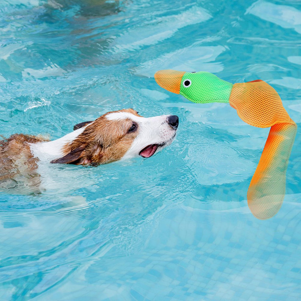 EXPAWLORER loud squeaker entices dogs to chew, fetch, and run