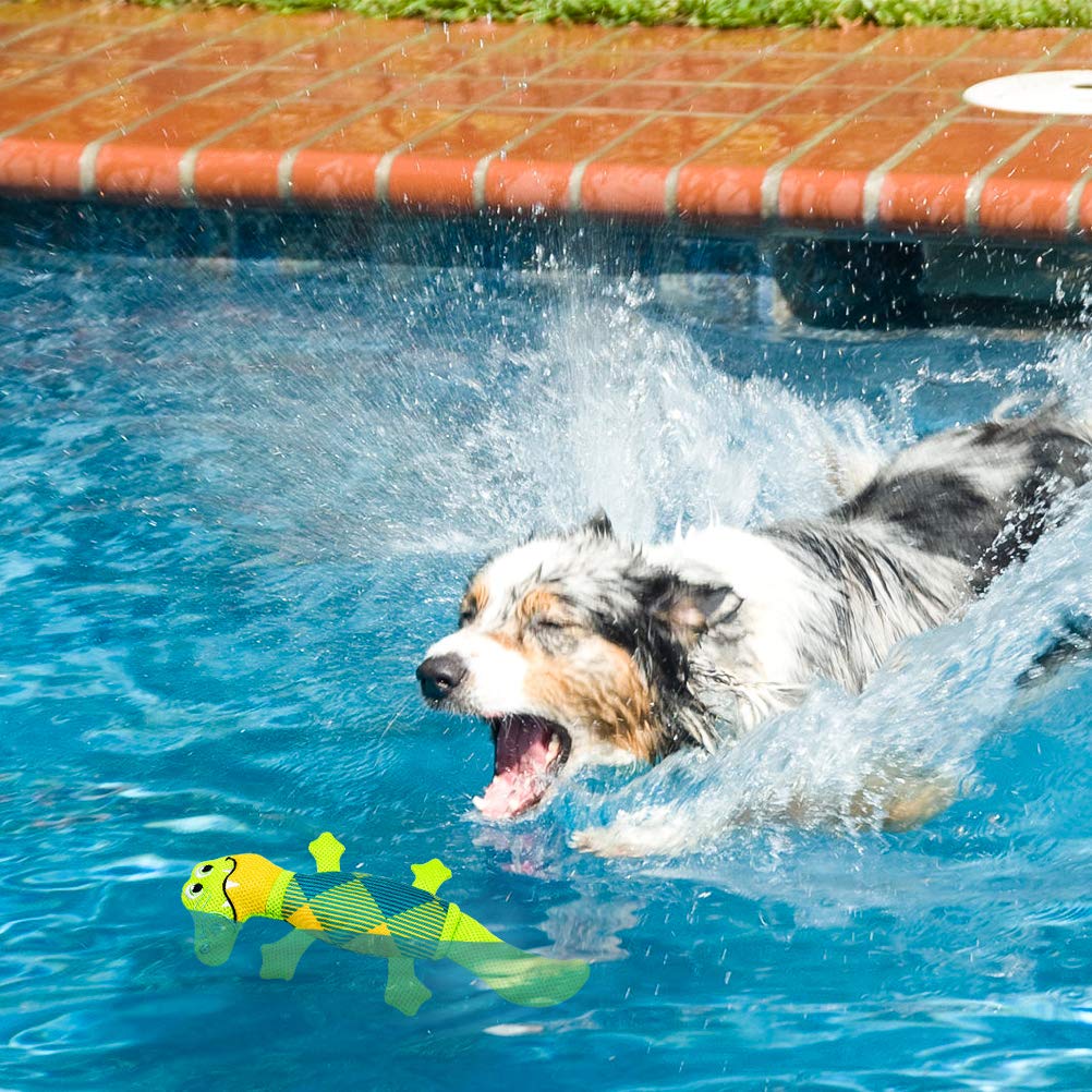 EXPAWLORER machine-washable dog toy cleans easily after outdoor adventures