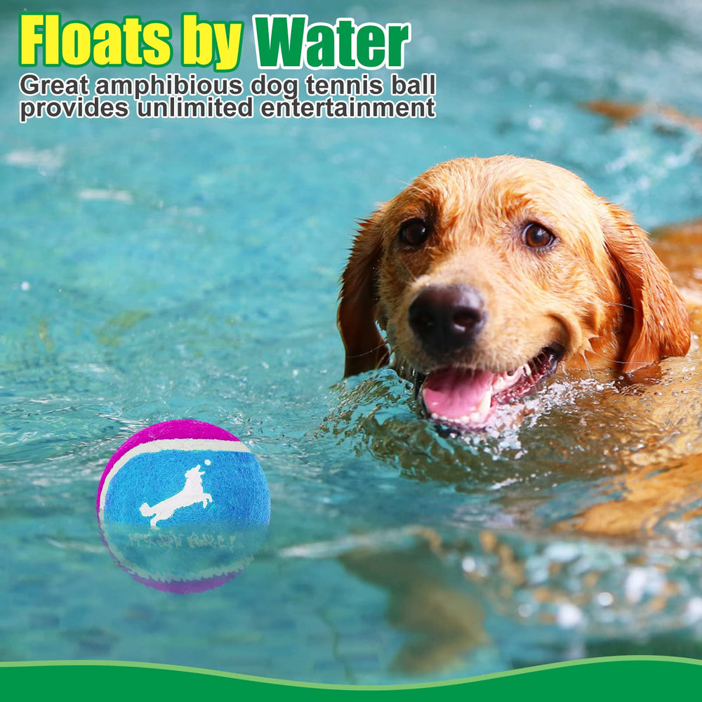 Expawlorer bright colors boost visibility during outdoor fetch and games.