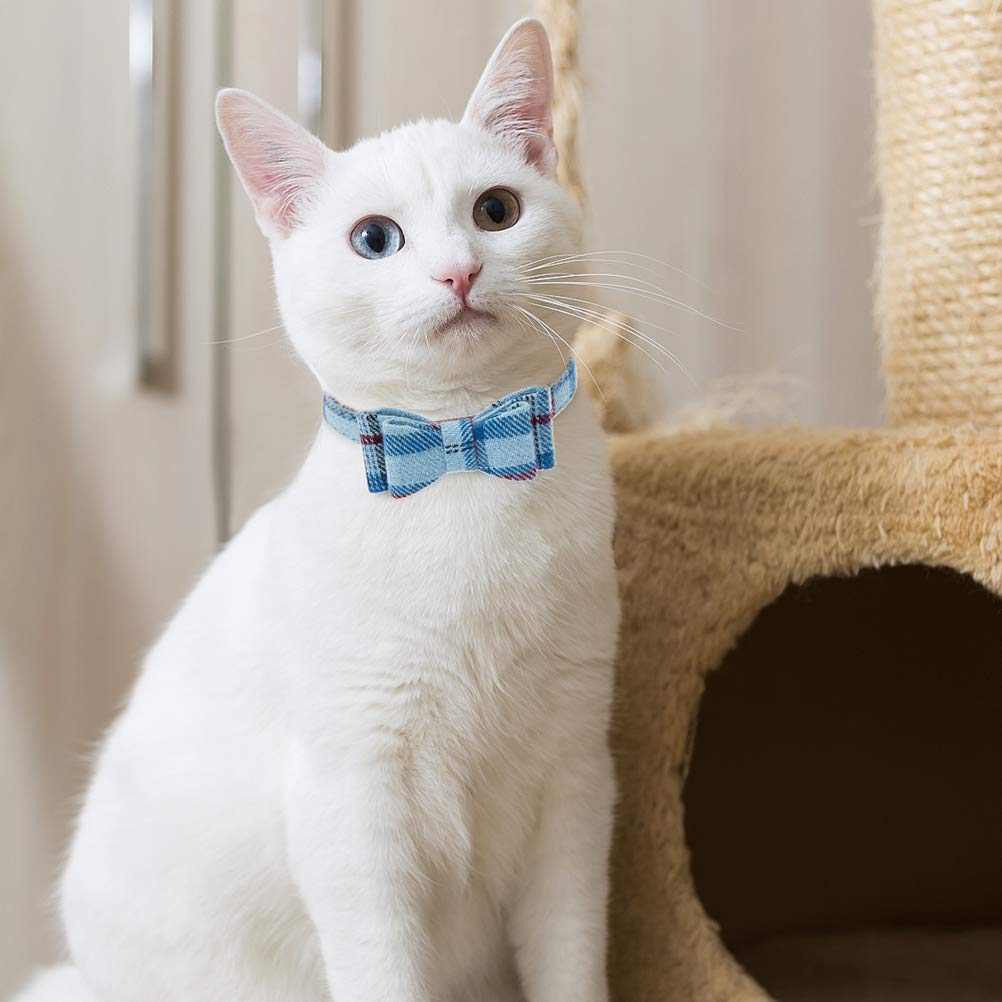 EXPAWLORER 59-inch leash supports relaxed strolls and easy tagging.