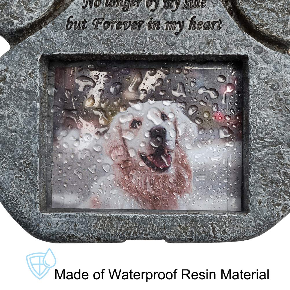 EXPAWLORER Photo slot fits a 4x3 inch image