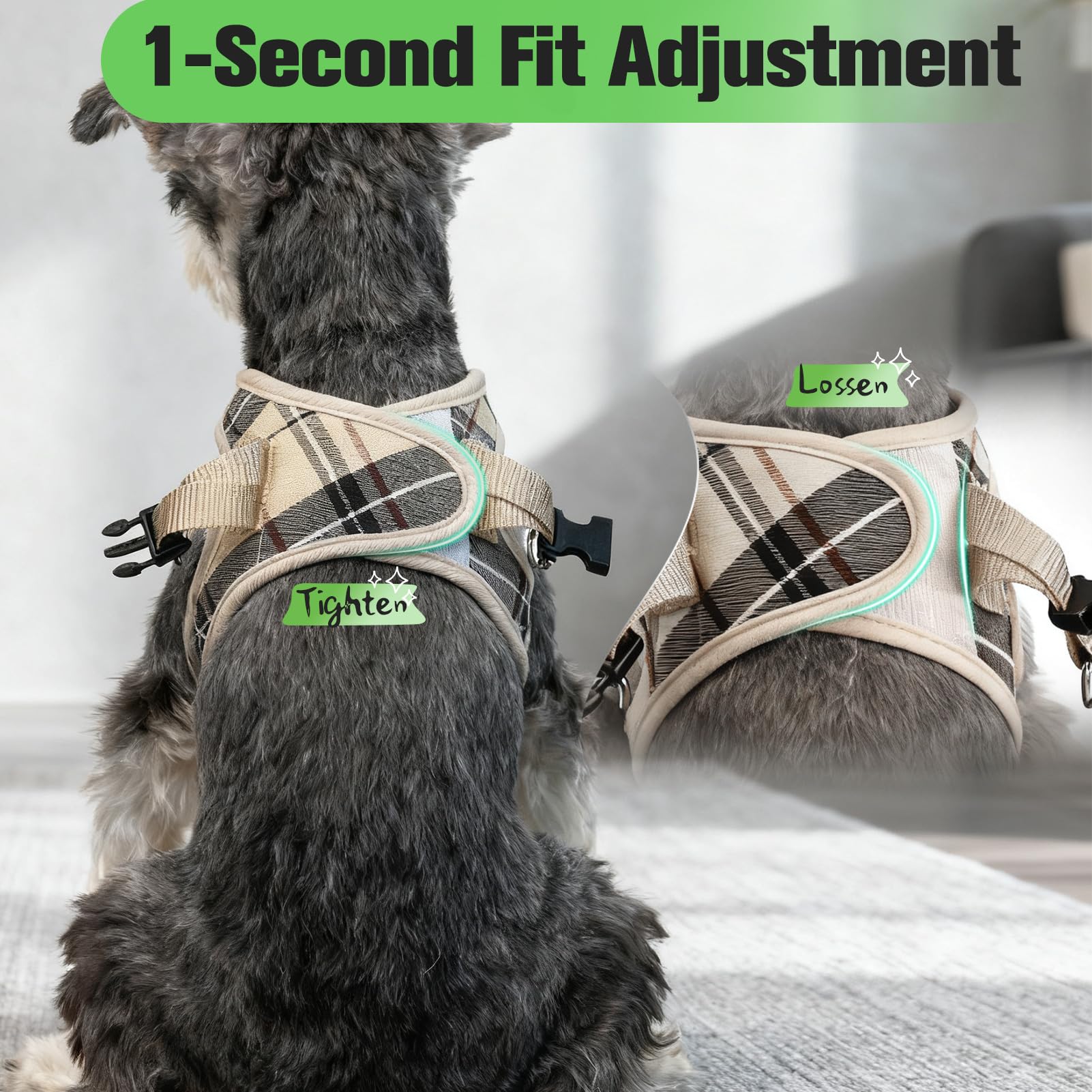 EXPAWLORER beige plaid collar and leash set for stylish outings.