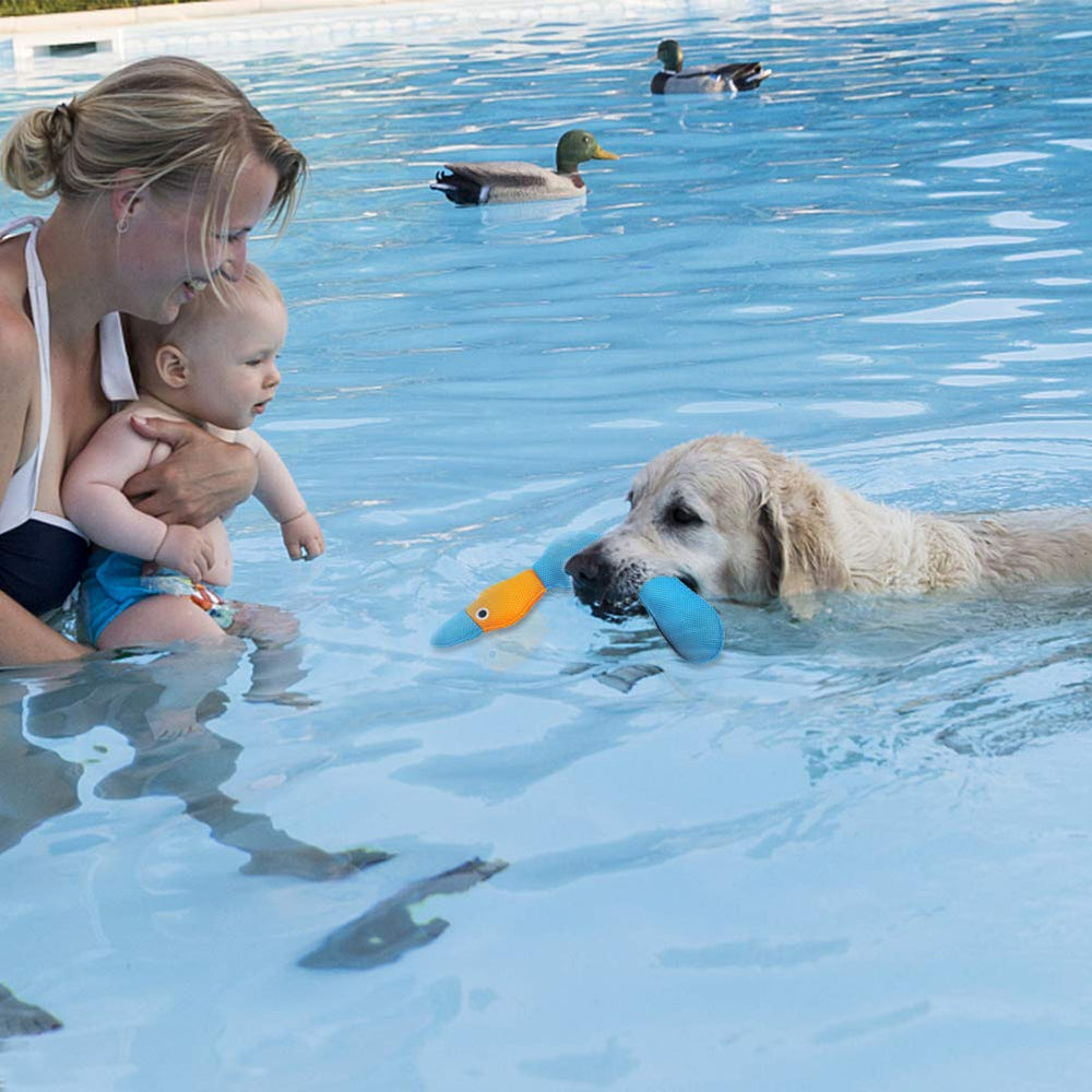 EXPAWLORER pool fetch toy supports training and water play