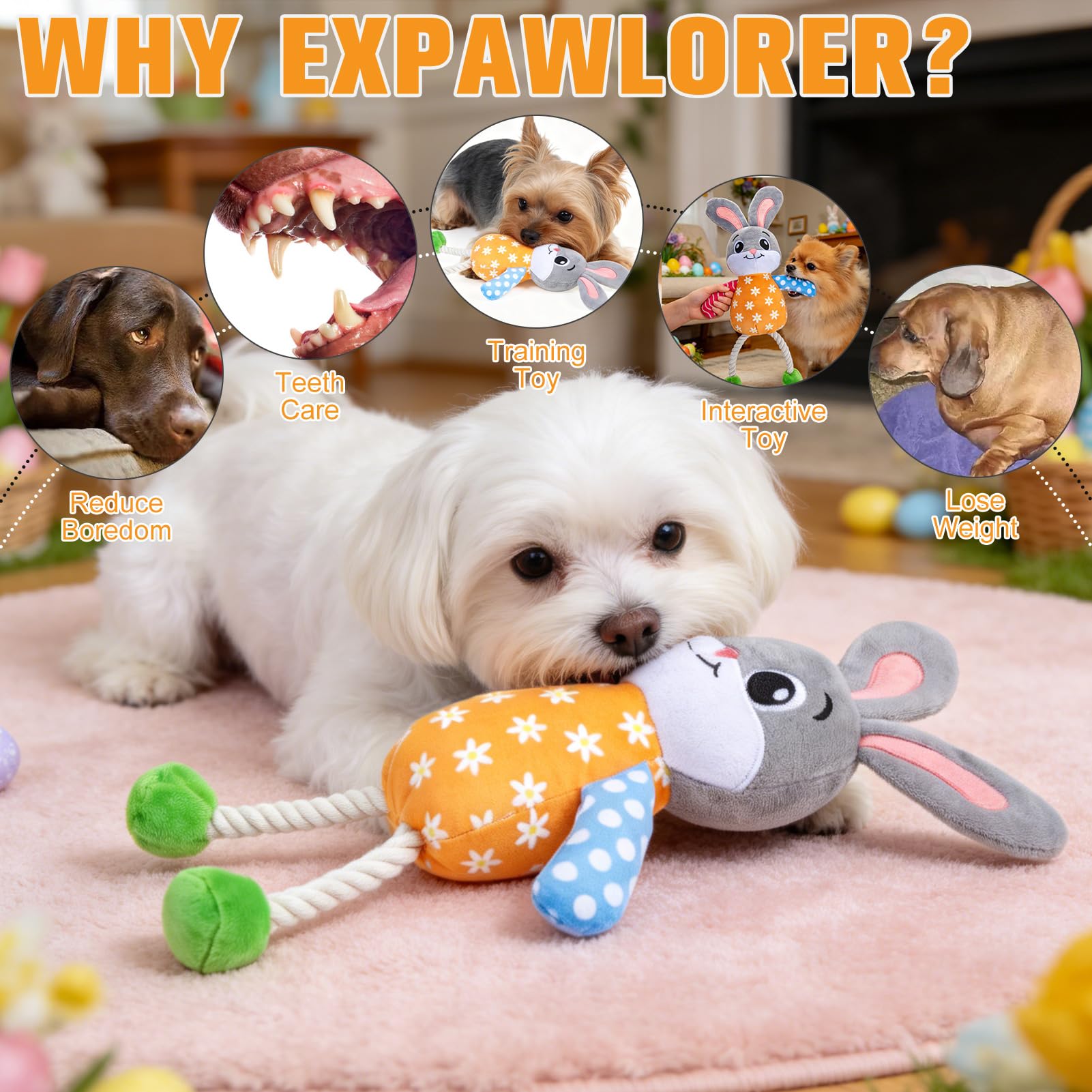 EXPAWLORER soft, durable fabric for long-lasting dog chew sessions