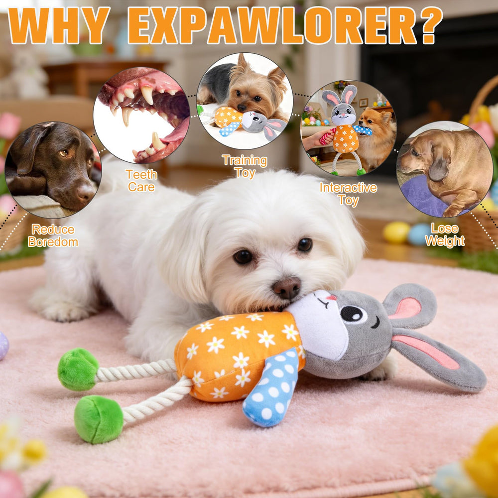 EXPAWLORER soft, durable fabric for long-lasting dog chew sessions