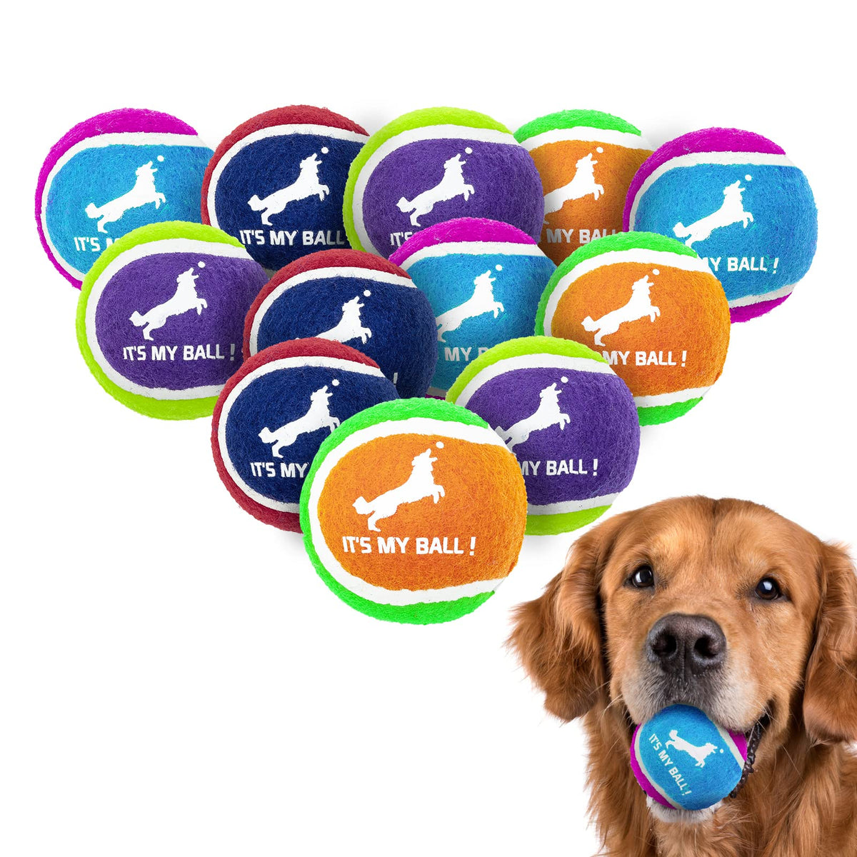 Expawlorer squeaky tennis ball 12-pack for dogs, ideal for fetch and play.