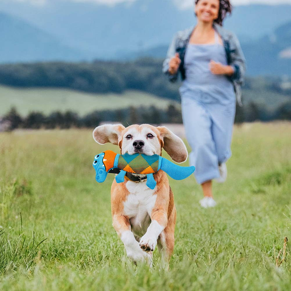 EXPAWLORER two-pack keeps extra toys ready for two pets