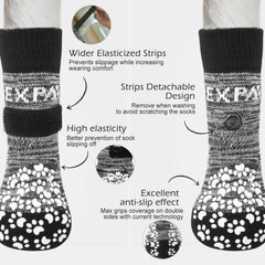 EXPAWLORER dog boots shown on pavement for better grip on hot surfaces.