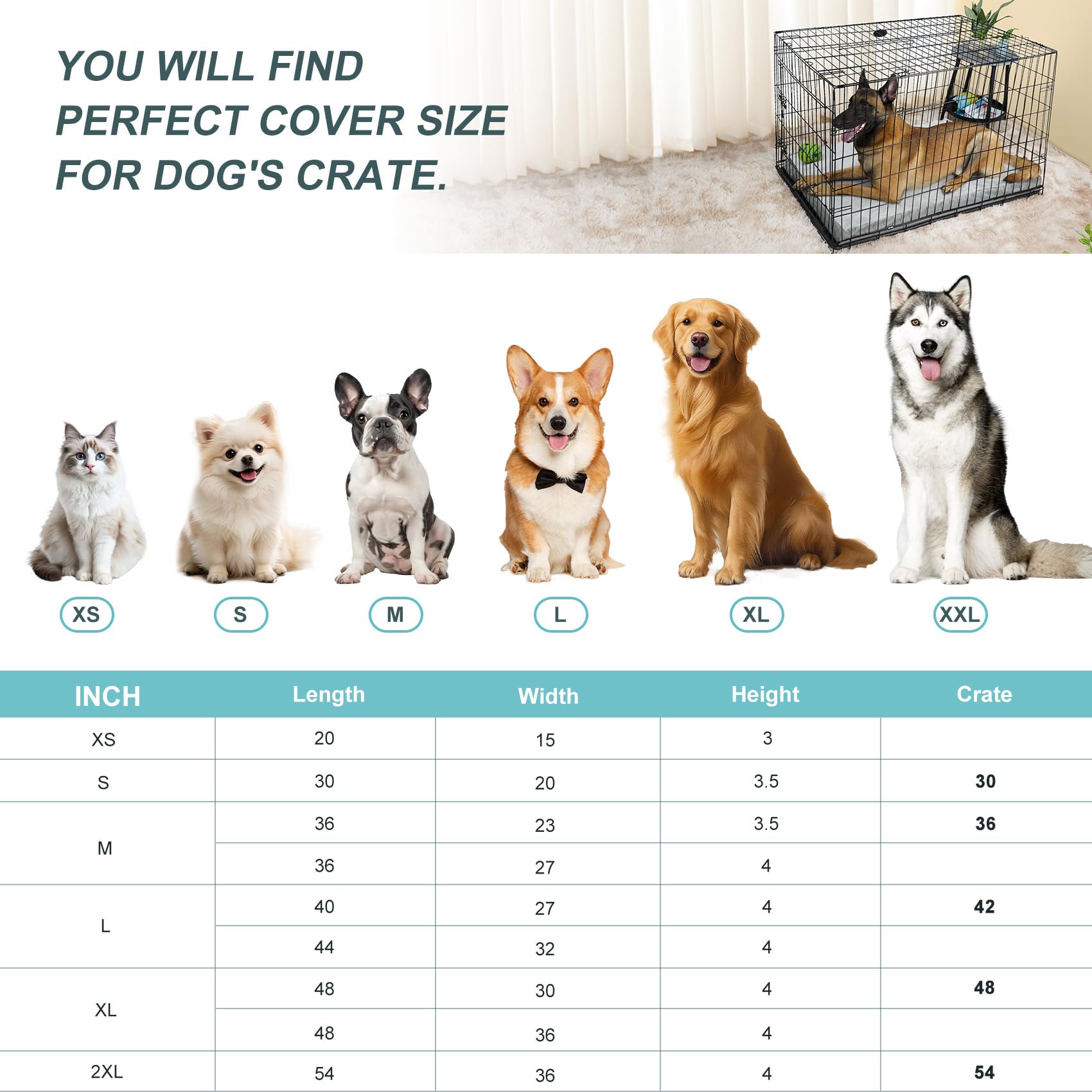 Explore Land heavy-duty canvas sides help train puppies and support seniors.