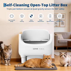 ExploreHorizon automatic cleaning cycle reduces daily litter duties.